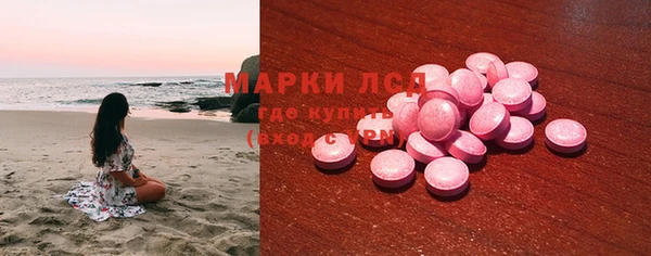 МДПВ Пересвет